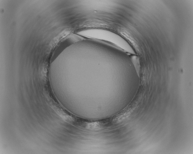 X0000088590309200706151743