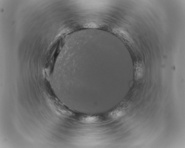 X0000088590312200706151743