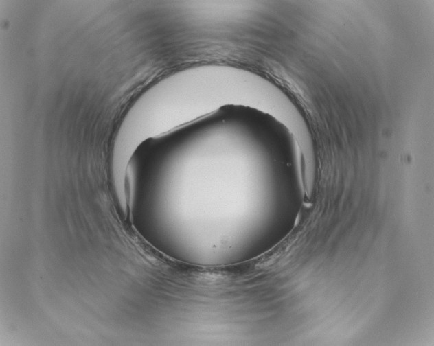 X0000088590313200706151743