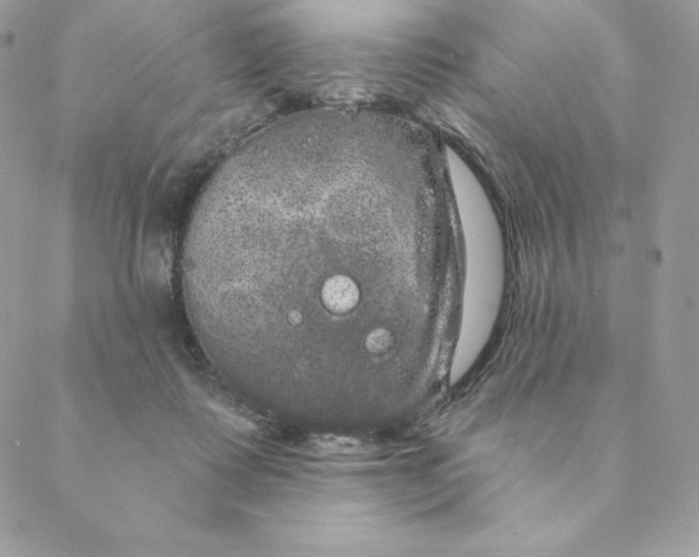 X0000088590315200706151743