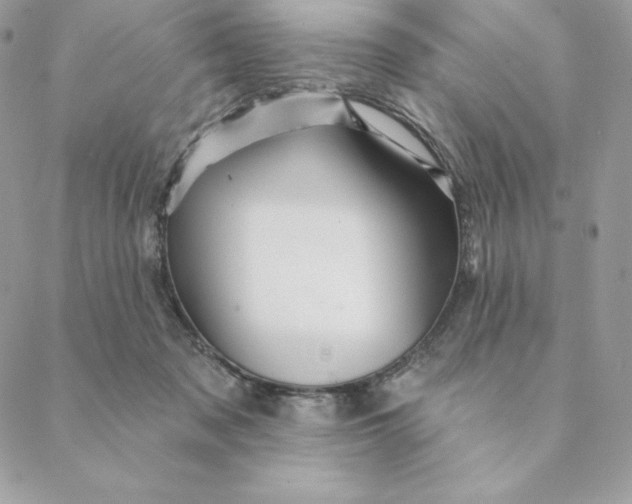 X0000088590317200706151743