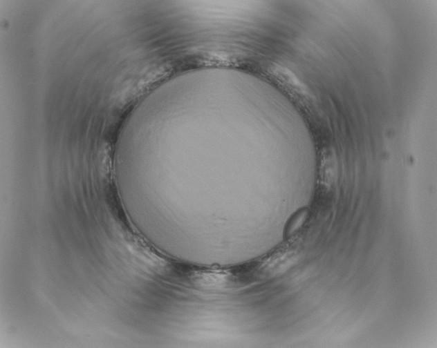 X0000088590318200706151743