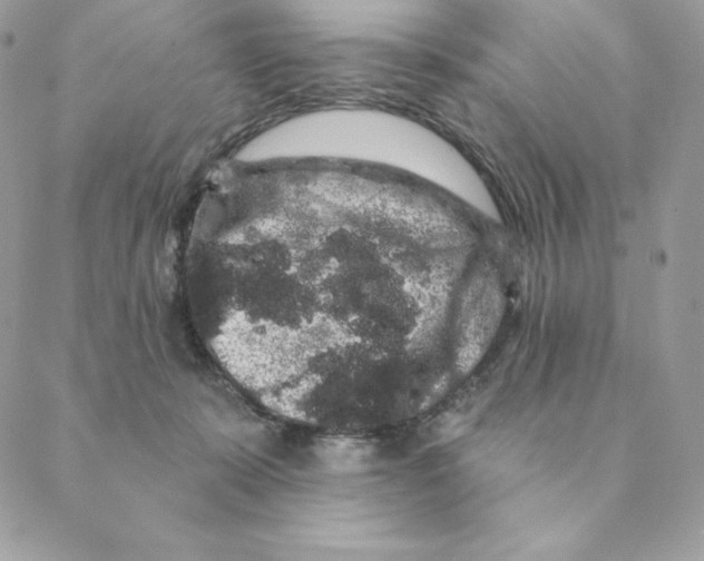 X0000088590319200706151743