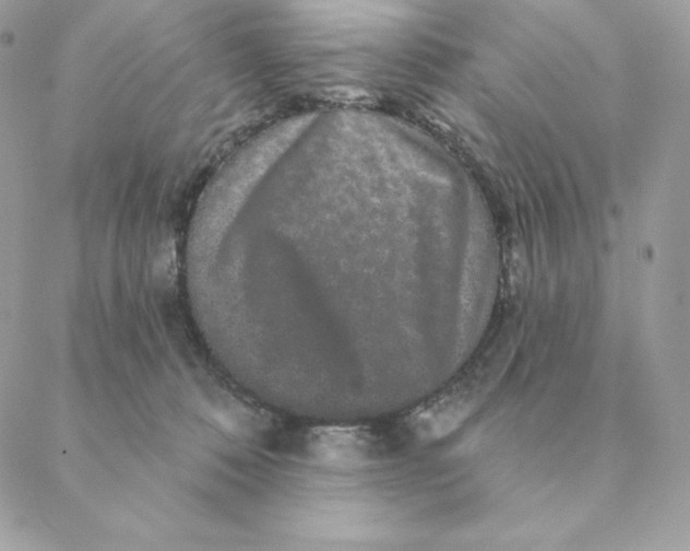 X0000088590320200706151743