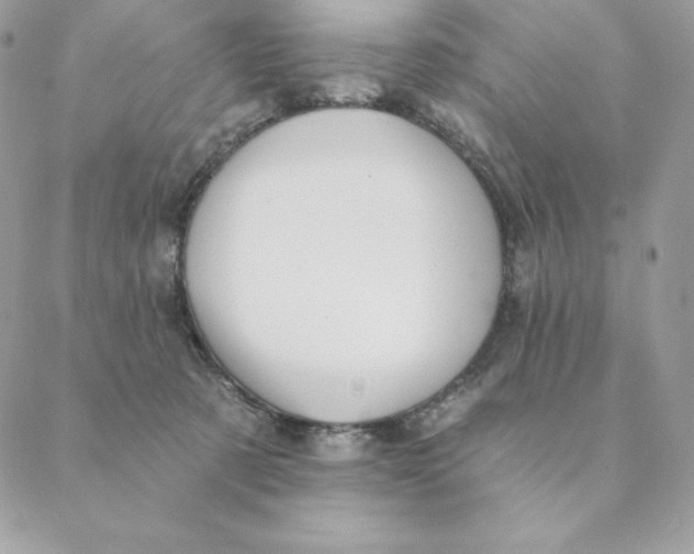 X0000088590321200706151743