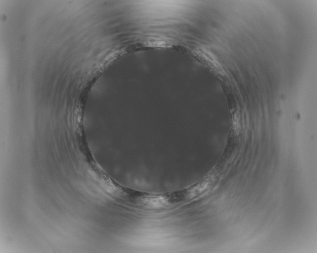 X0000088590322200706151743