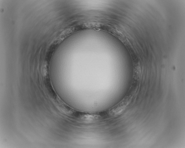 X0000088590323200706151743