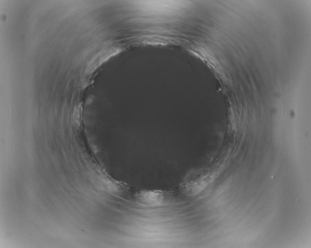 X0000088590325200706151743