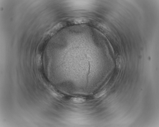 X0000088590327200706151743