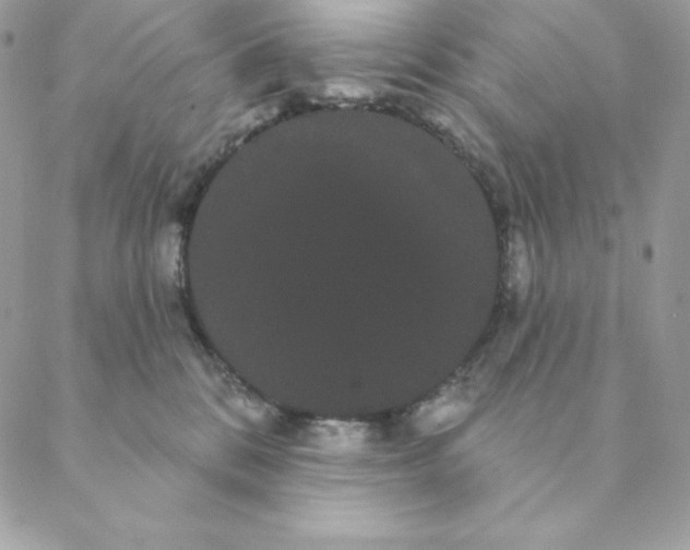 X0000088590328200706151743