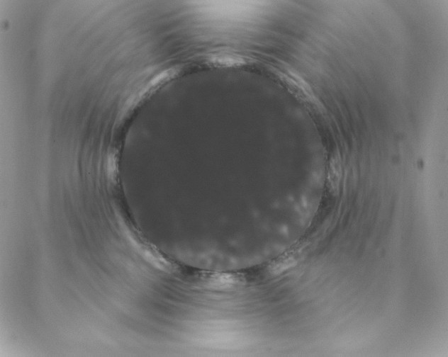 X0000088590330200706151743