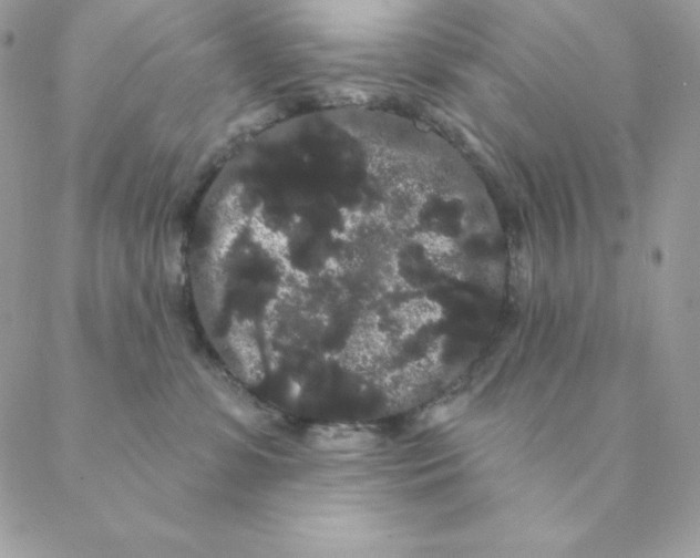 X0000088590331200706151743