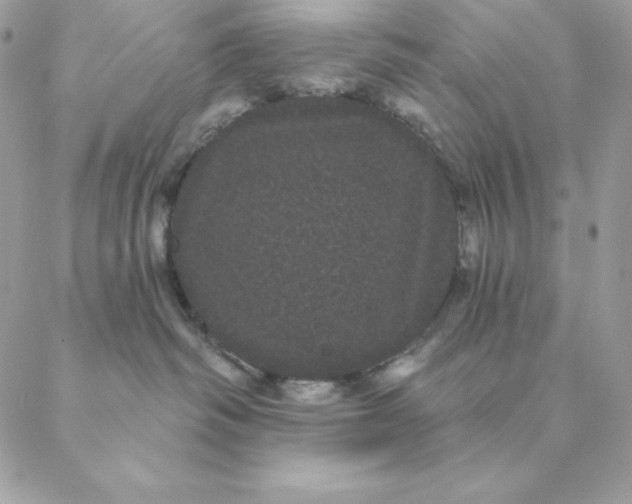 X0000088590334200706151742