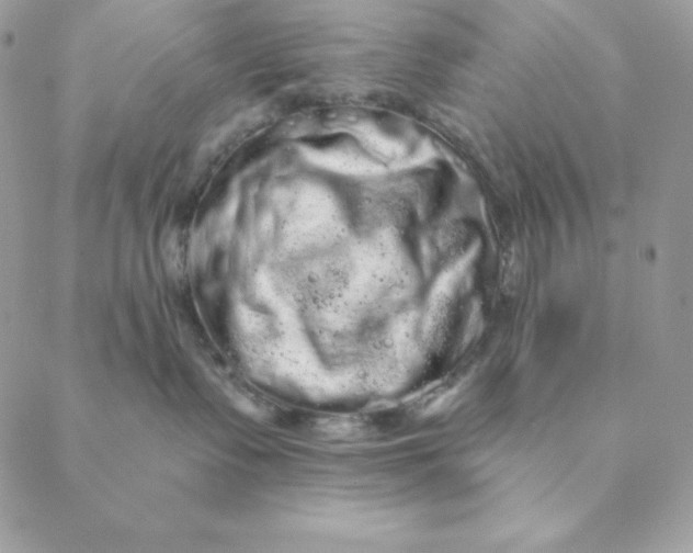 X0000088590335200706151742