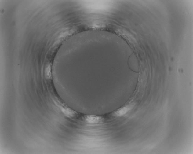 X0000088590336200706151742