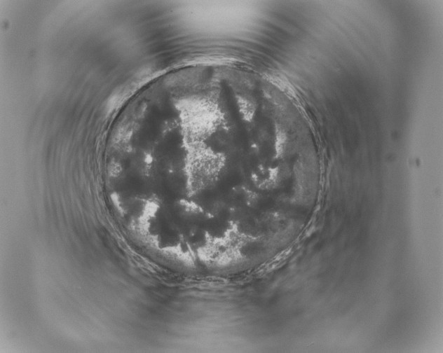 X0000088590337200706151742