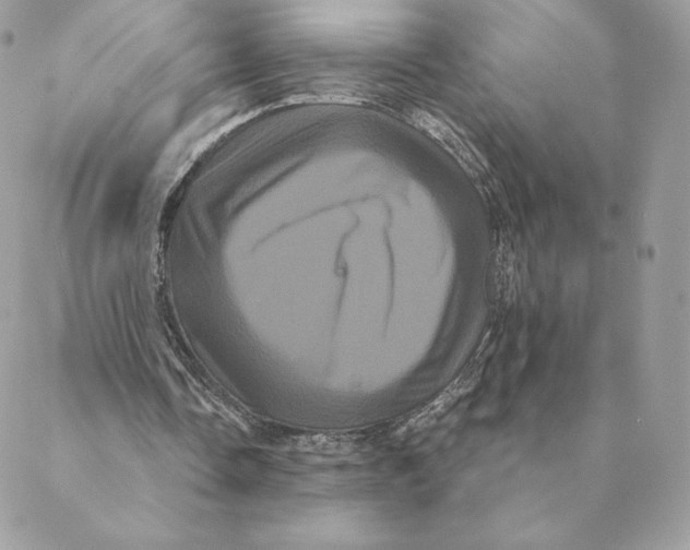 X0000088590338200706151742