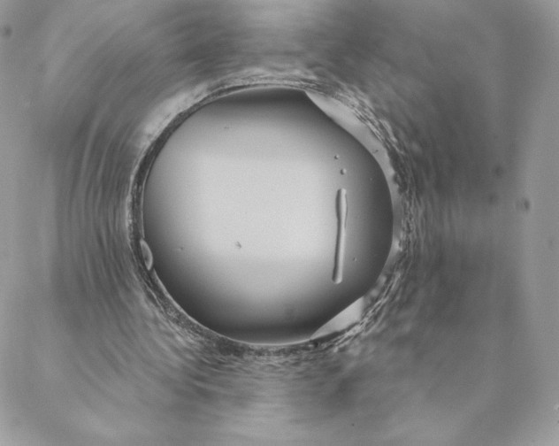 X0000088590340200706151742