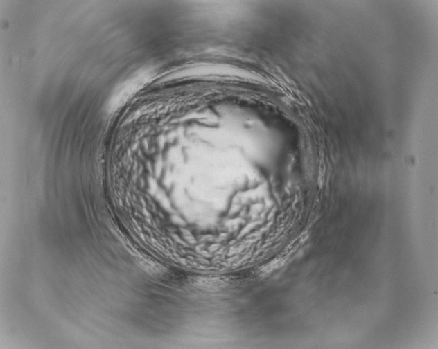 X0000088590341200706151742