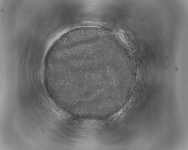 X0000088590342200706151742