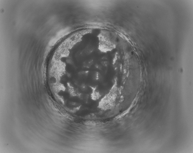 X0000088590343200706151742