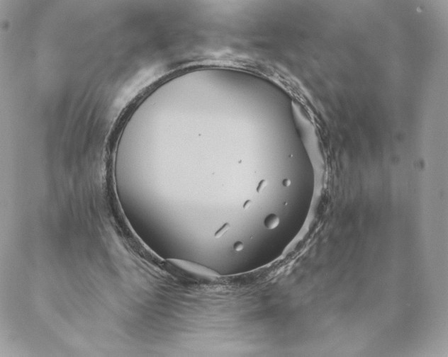 X0000088590344200706151742