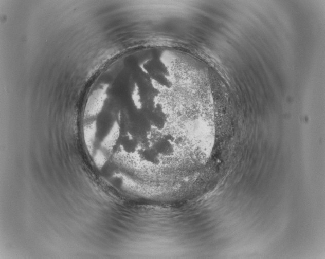 X0000088590347200706151742