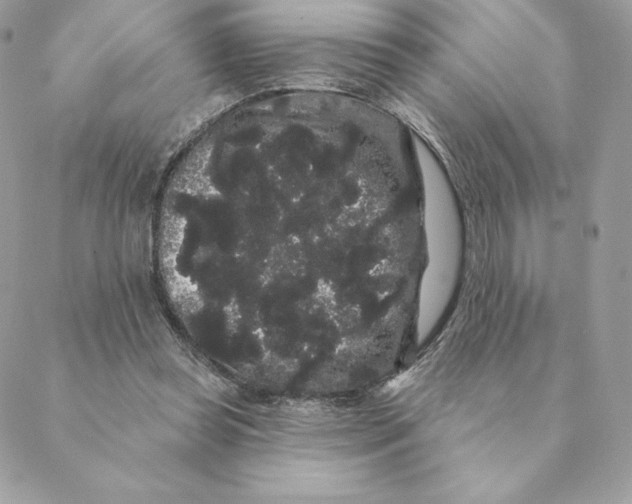 X0000088590349200706151742