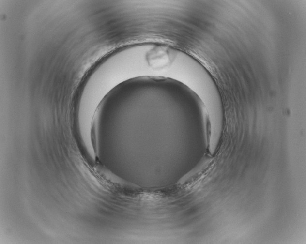 X0000088590350200706151742