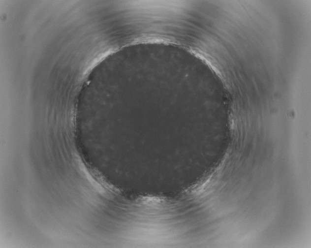 X0000088590352200706151742