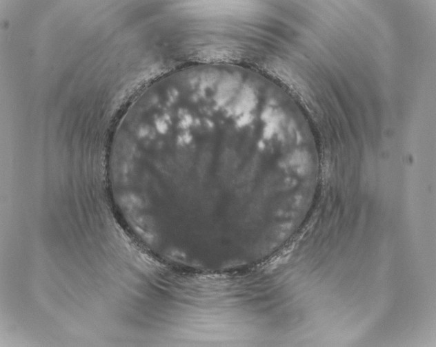 X0000088590353200706151742