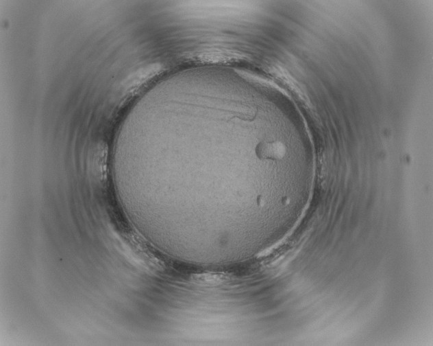 X0000088590356200706151742