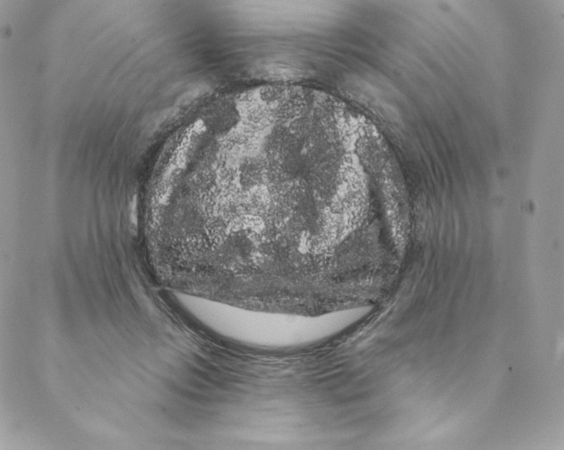 X0000088590358200706151742