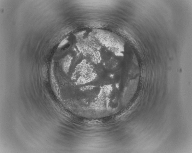 X0000088590359200706151742