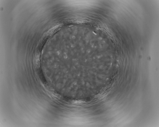 X0000088590360200706151742