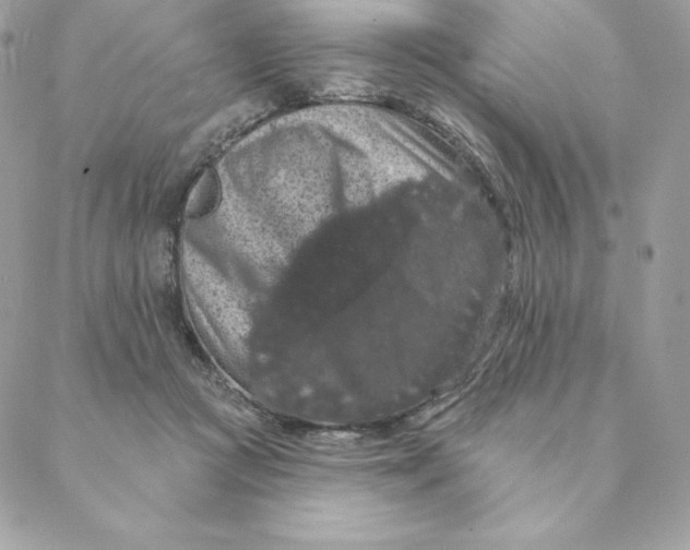 X0000088590361200706151742