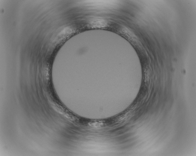 X0000088590362200706151742