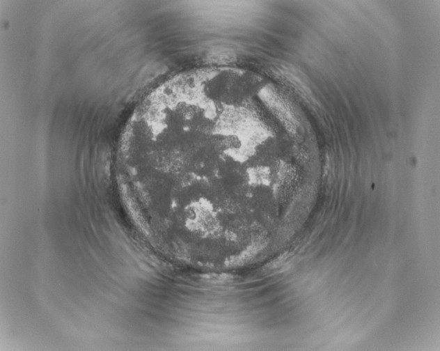 X0000088590363200706151742