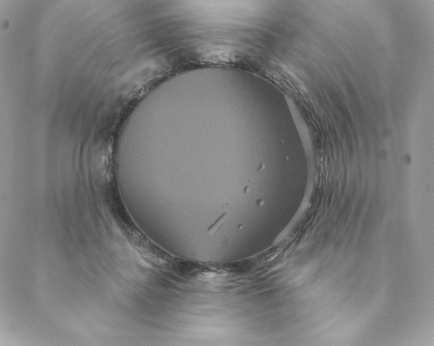 X0000088590364200706151742