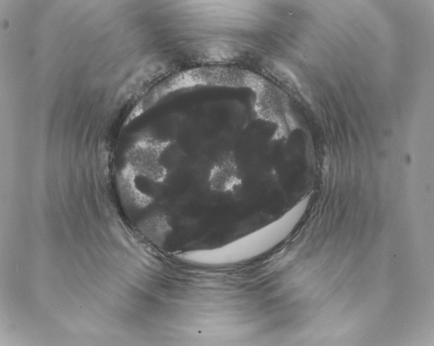 X0000088590366200706151742