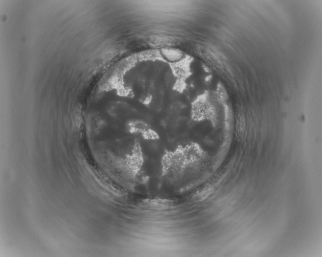 X0000088590367200706151742