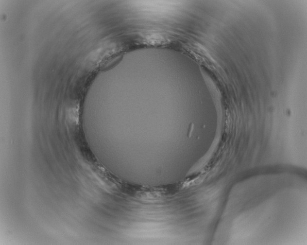 X0000088590368200706151742