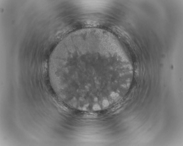 X0000088590369200706151742