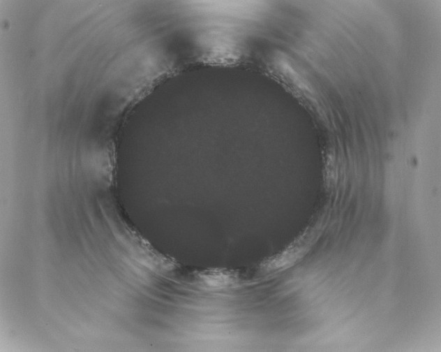 X0000088590370200706151742