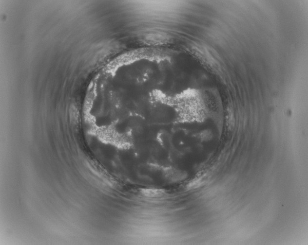 X0000088590371200706151742