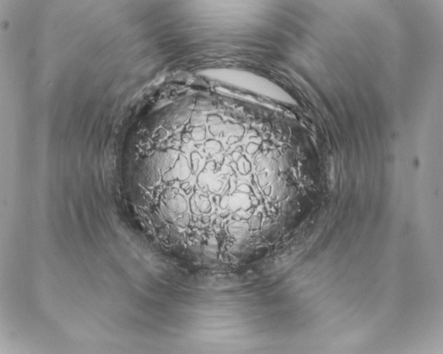 X0000088590372200706151742