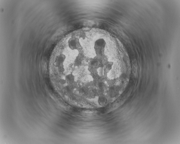 X0000088590375200706151742