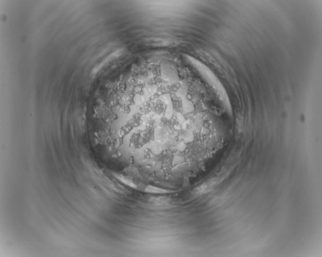 X0000088590376200706151742