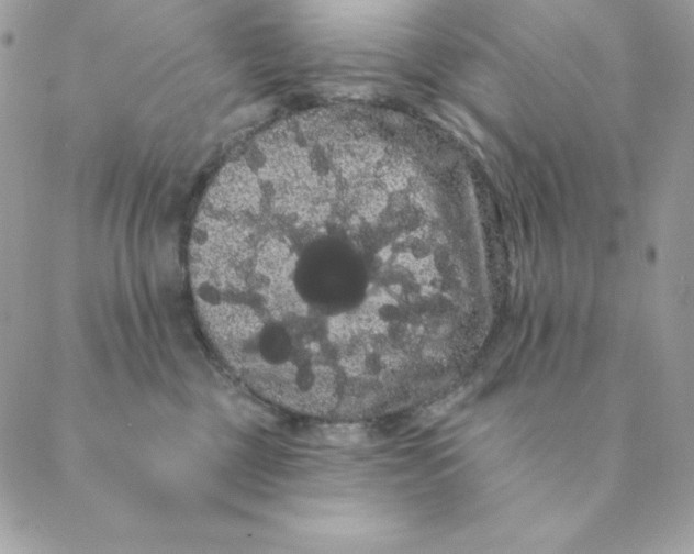 X0000088590377200706151742