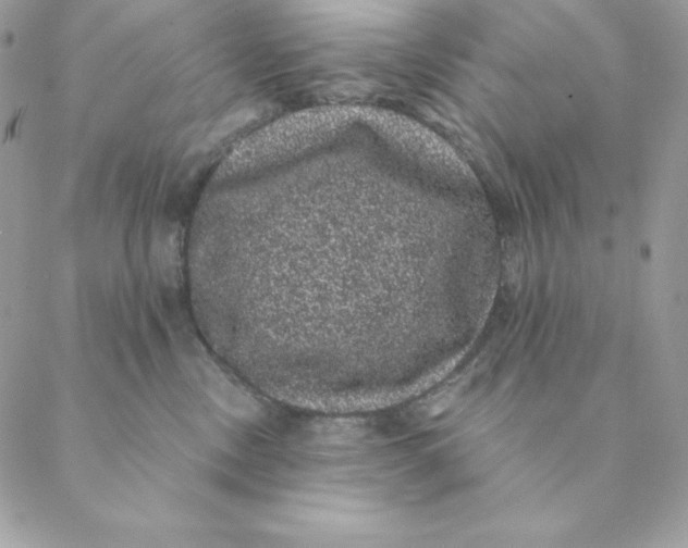 X0000088590378200706151742